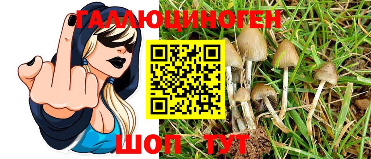 Галлюциногенные грибы MAGIC MUSHROOMS Петрозаводск